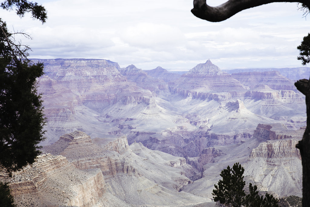 Grand Canyon Framed by Trees