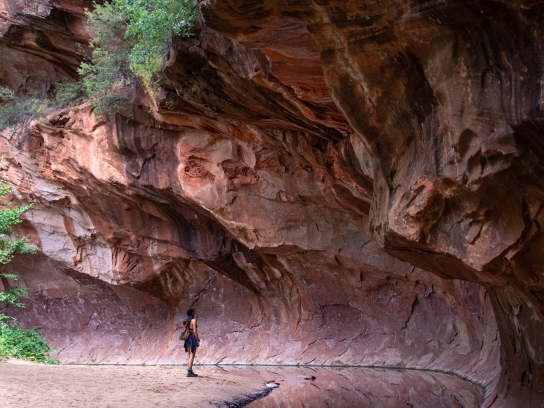 Westfork Trail